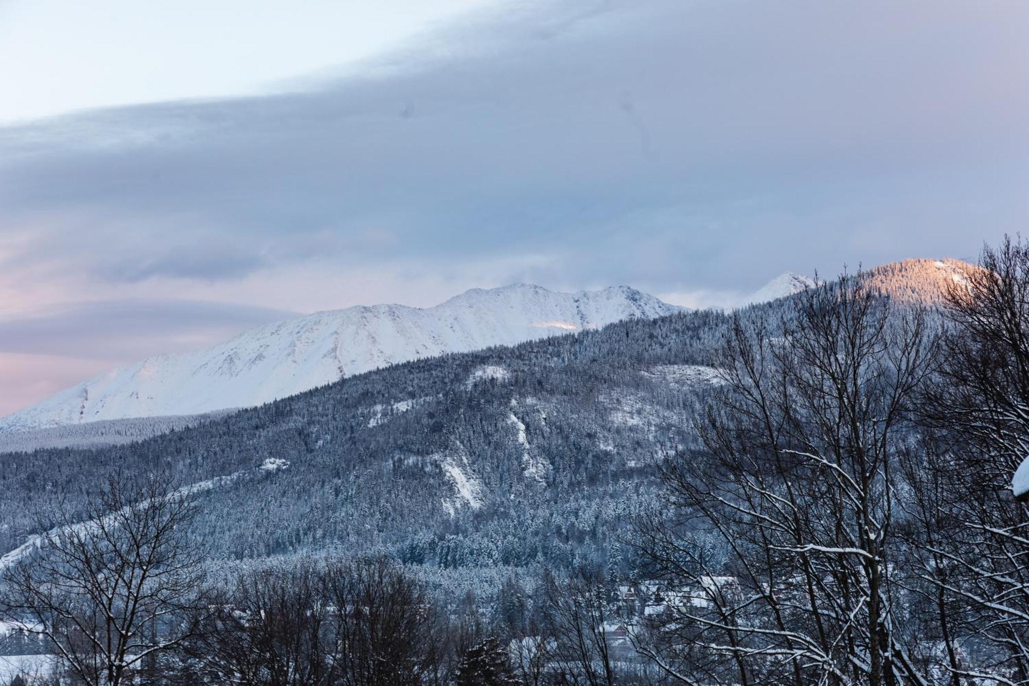 Apartamenty Butorowy Zakopane Zimmer foto
